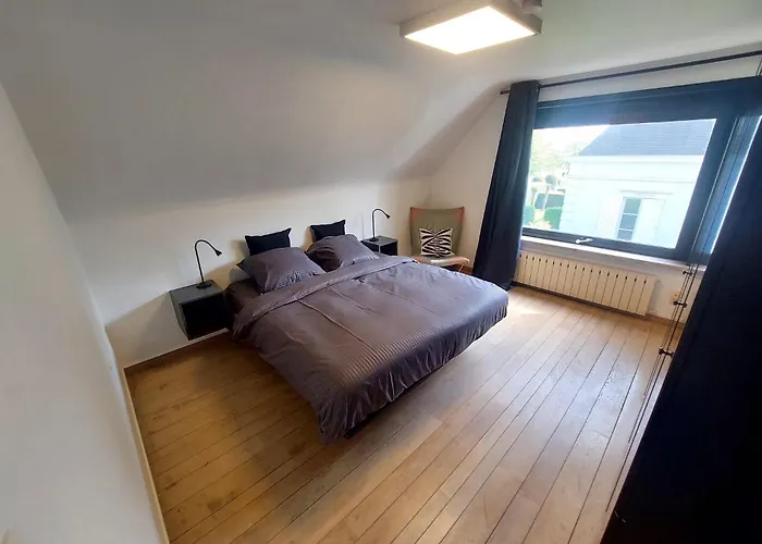 Apartament The White